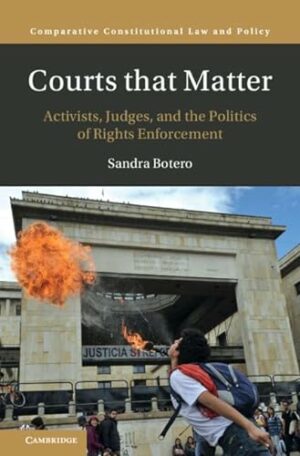 Courts that Matter: Activists, Judges, and the Politics of Rights Enforcement (Comparative Constitutional Law and Policy)