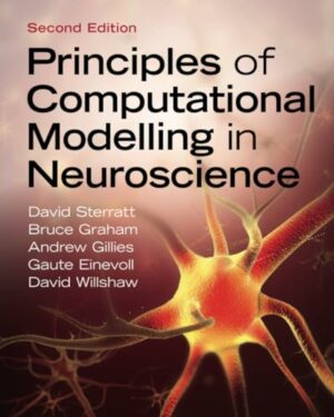 Principles of Computational Modelling in Neuroscience
