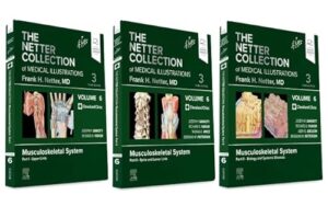 The Netter Collection of Medical Illustrations: Musculoskeletal System Package: Volume 6 (Netter Green Book Collection)