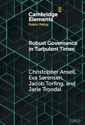 Robust Governance in Turbulent Times (Elements in Public Policy)