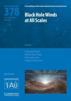 Black Hole Winds at All Scales (IAU S378) (Proceedings of the International Astronomical Union Symposia and Colloquia)