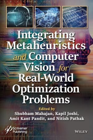 Integrating Metaheuristics in Computer Vision for Real-World Optimization Problems