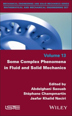 Some Complex Phenomena in Fluid and Solid Mechanics (ISTE Consignment)