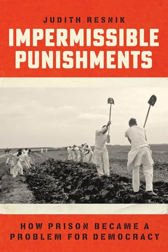 Impermissible Punishments How Prison Became a Problem for Democracy