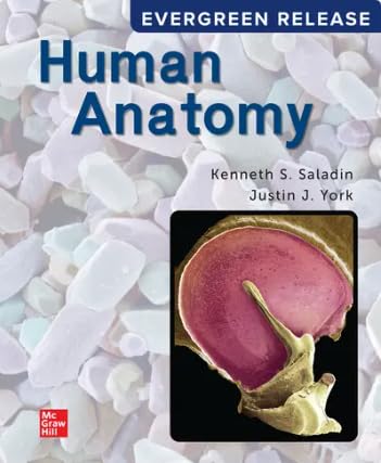 Human Anatomy