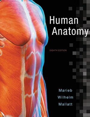 Human Anatomy