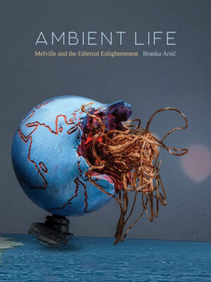 Ambient Life Melville and the Ethereal Enlightenment