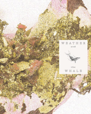 Weather and the Whale
