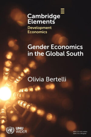 Gender Economics in the Global South (Elements in Development Economics)