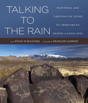 Talking to the Rain Paintings and Carvings on Stone in Chihuahuan Desert Landscapes