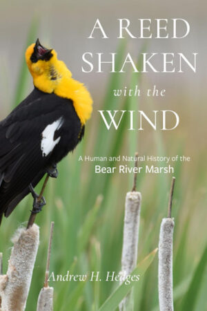 A Reed Shaken with the Wind A Human and Natural History of the Bear River Marsh
