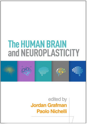 Human Brain and Neuroplasticity