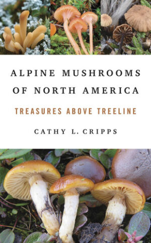 Alpine Mushrooms of North America Treasures Above Treeline