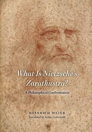 What Is Nietzsche's Zarathustra? A Philosophical Confrontation