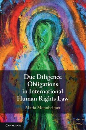 Due Diligence Obligations in International Human Rights Law