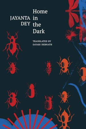 Home in the Dark Selected Stories