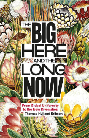 The Big Here and the Long Now From Global Uniformity to the New Diversities