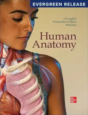 Human Anatomy