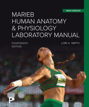 Marieb Human Anatomy & Physiology Laboratory Manual, Main Version