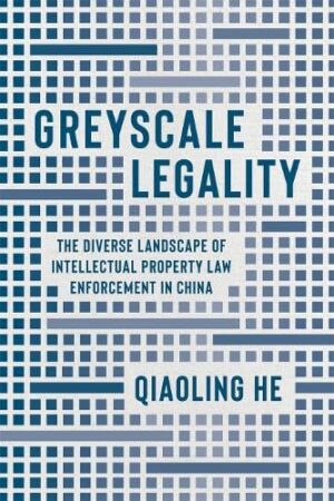 Greyscale Legality The Diverse Landscape of Intellectual Property Law Enforcement in China