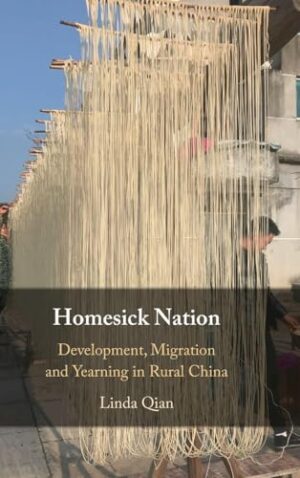 Homesick Nation Development, Migration and Yearning in Rural China